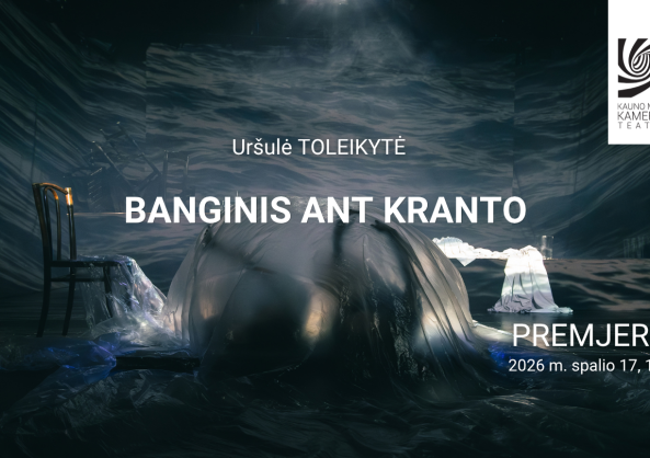 Banginis ant kranto