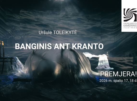 naujienlaiskiui-28_1791287282-1bf78ca95470fa55da46512a1b42a337.png