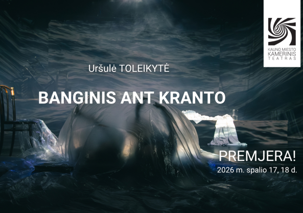 Banginis ant kranto